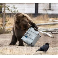 Lifetime Premium Kühlbox, Campingkühlschrank "Cooler" Mit Tragegriffen Grau 26,5 L Volumen -Aufbewahrung im Garten Verkäufe 2022 17000709 3