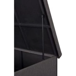 EBUY24 Troels Kissenbox Schwarz. -Aufbewahrung im Garten Verkäufe 2022 54557659 5