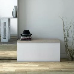 TERRANEO Truhe Eingang Wohnzimmer